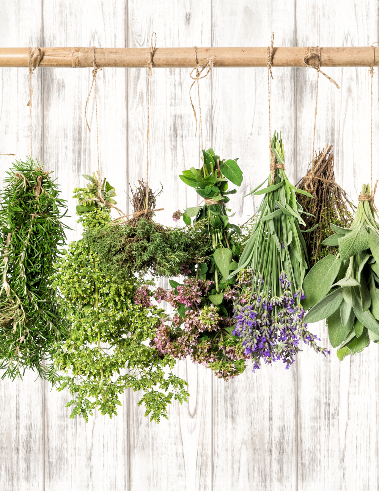 Dr. Shana Deneen, a Naturopathic Acupuncturist in Tulsa OK