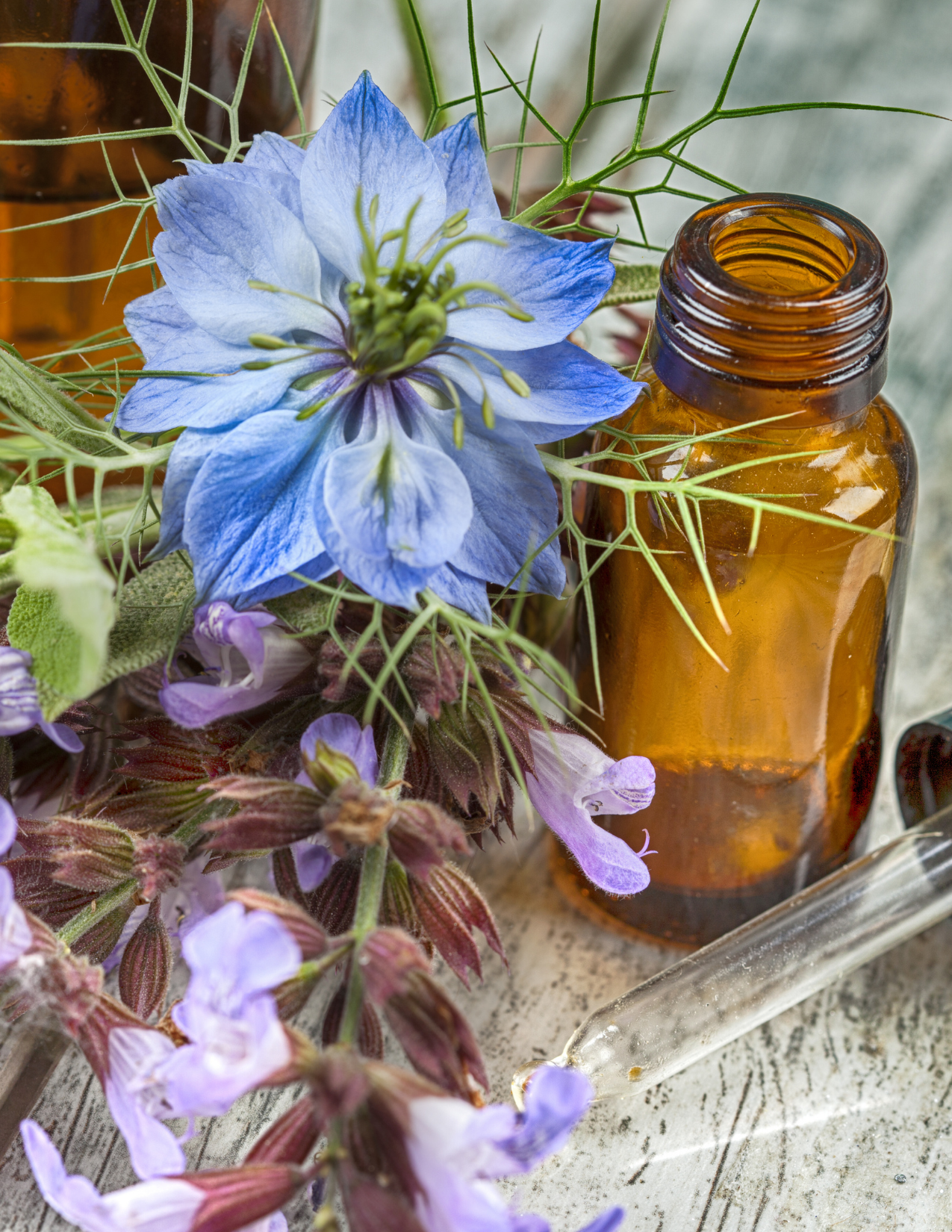 Dr. Shana Deneen, a Naturopathic Acupuncturist in Tulsa OK